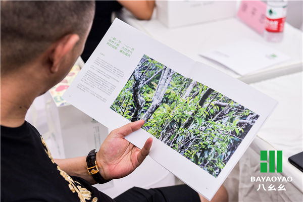 八幺幺新品上市发布,打造健康茶饮新坐标