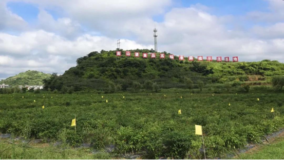 高成长企业南山婆——聚焦生态新速食，领鲜贵州好滋味