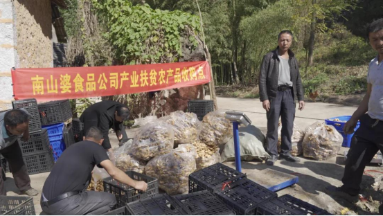 高成长企业南山婆——聚焦生态新速食，领鲜贵州好滋味