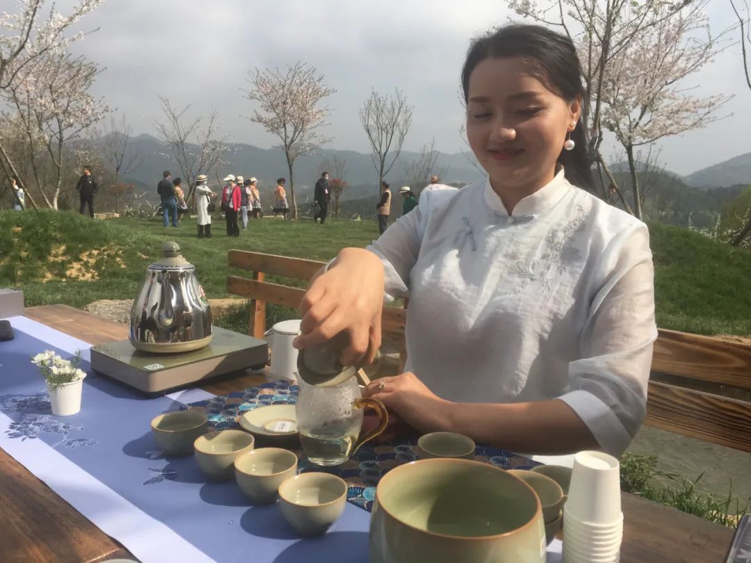 茶艺、花艺、歌舞、市集都搬进樱花园，白云石龙樱花文化节开幕
