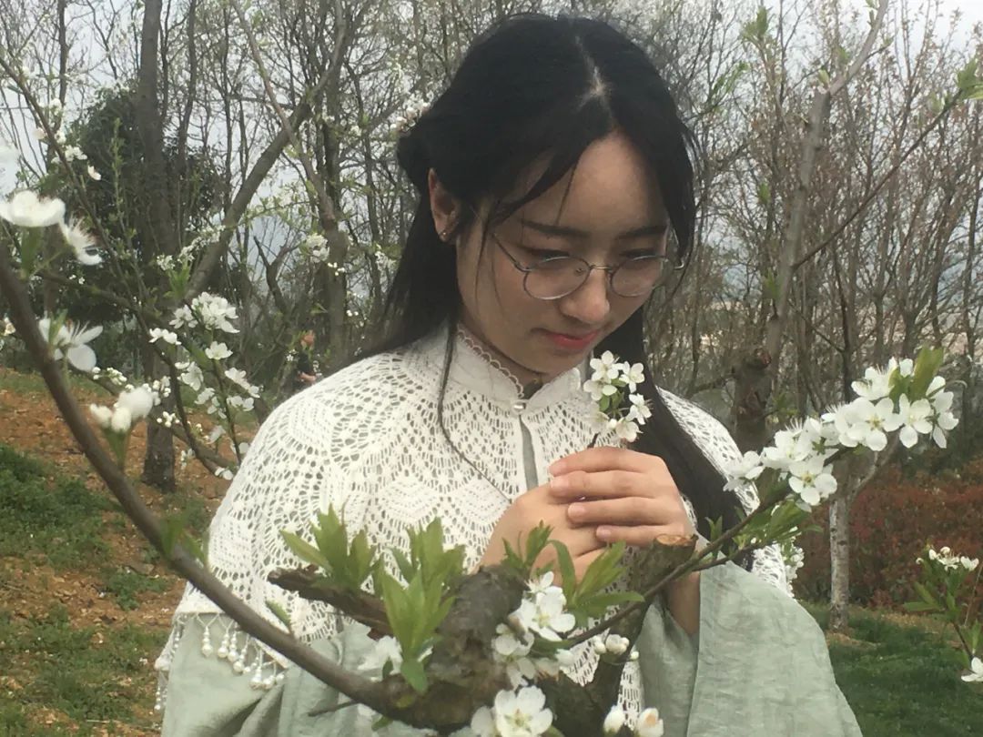 茶艺、花艺、歌舞、市集都搬进樱花园，白云石龙樱花文化节开幕