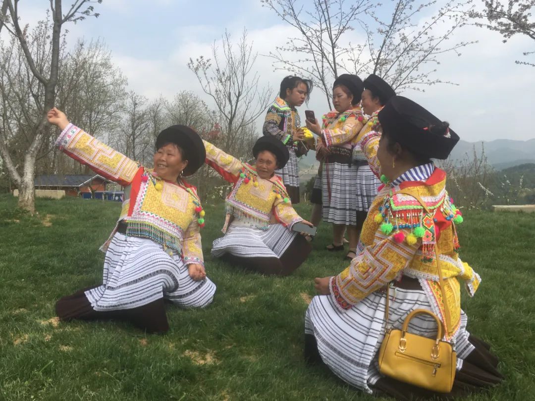 茶艺、花艺、歌舞、市集都搬进樱花园，白云石龙樱花文化节开幕