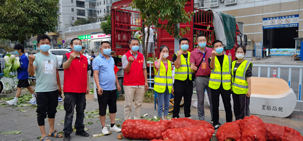 LOCAL1663246403643M3TDBKJEI1