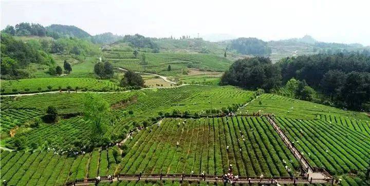 86578e0244d84b8c806eb6c3d1756607 86578e0244d84b8c806eb6c3d1756607