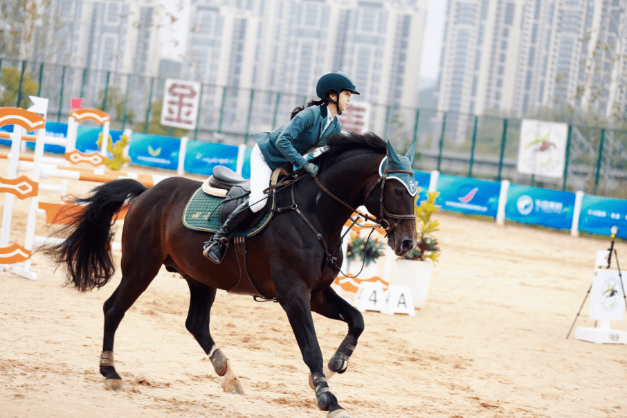 4f83cbdca3b24f8c81e184c52cad29d9