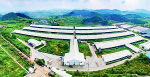 1f51-aeb88e8557f38fe6b1276df1d812eef9