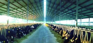 5136-79a3351bee5999c6279e96fc0f21d132