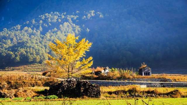 28a40abfc7994a5fabd190db2668c7ce