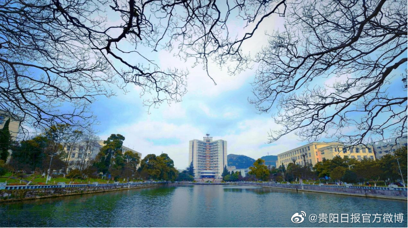 0fa6-3a78b8dd6515ae0f375bb05ac38f1425