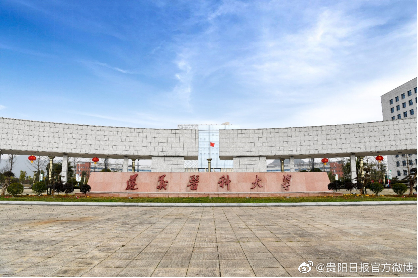 2009-b2af7d0a676f8ffc95c5df85a2abb06b