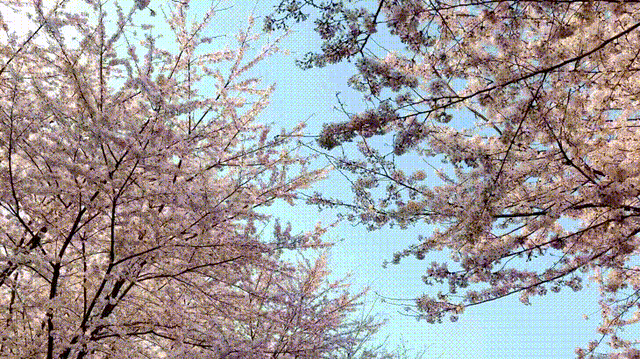 62a7-gif57f0a528c5712aa70c4f069137731528