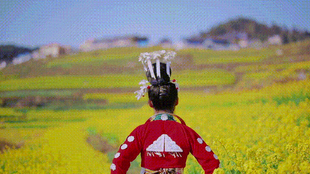 b549-gif7d8a7525c702d66b94492e77f9dba694