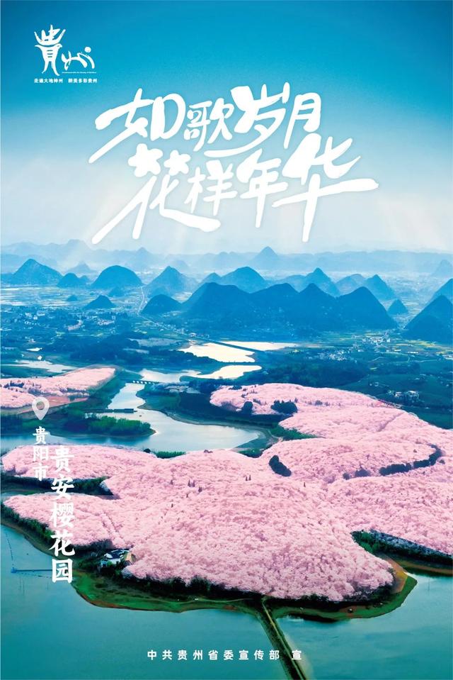 b80b-4584d039da8a878d0b15009a200cbf9b