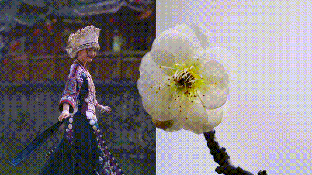 bb04-gifeedfc8a7d0d47ae5c7bf88b18099c3c4