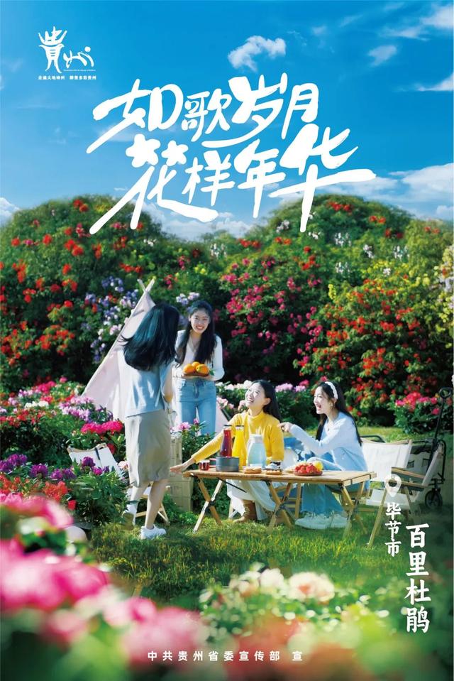 c315-a3a81ab14c1350e03c55995726719519