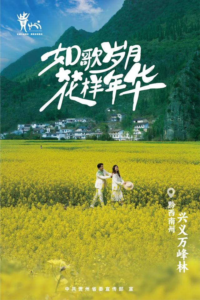 d191-d702bd2d0d056d4f04d943265b78c1f1