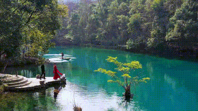 e4bf-gif167e2e804bc42aa4efddfdc2ebcc0861