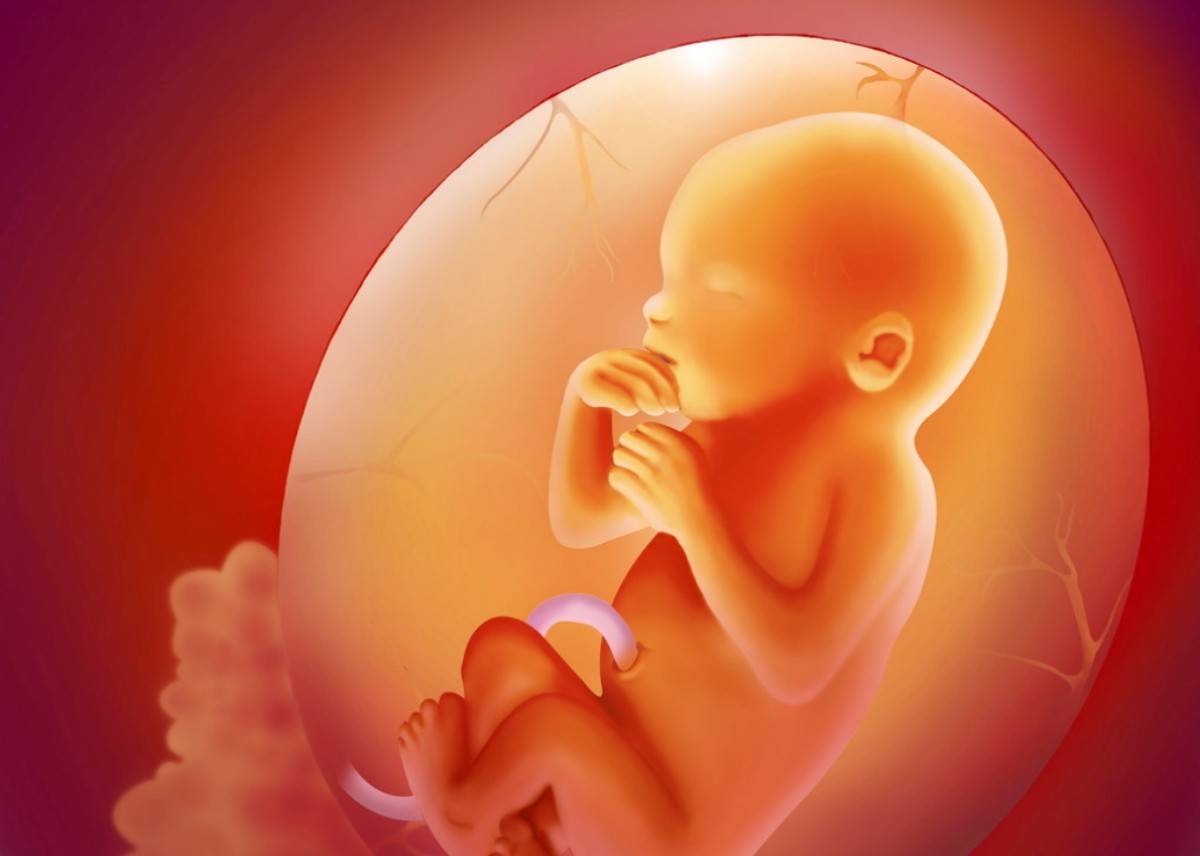 0979672f527449c5aca02f4661b9973b