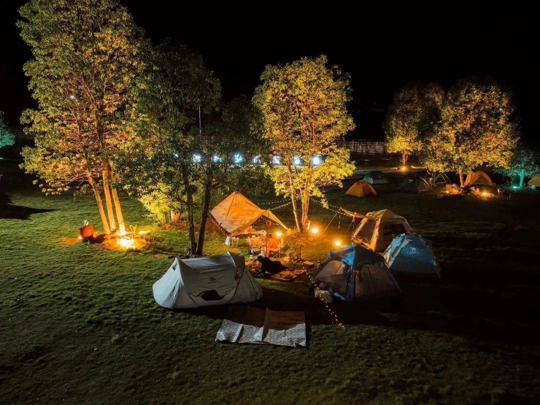 00a6f25f57d64bc4ba93637673e0421a