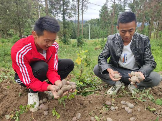 HG5e-hcrinym0650049 HG5e-hcrinym0650049