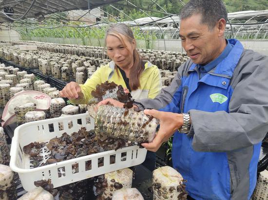 N1OJ-hcrinym0650045 N1OJ-hcrinym0650045