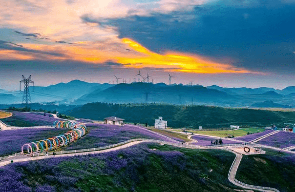 0e0fd54cb19b494d81948fc4b8e2fca2