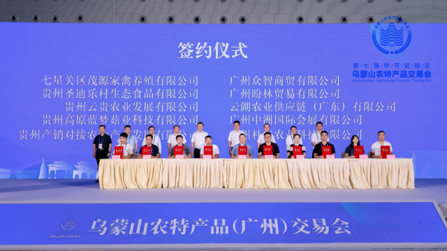 10593691687 10593691687