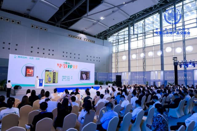 10593797419 10593797419