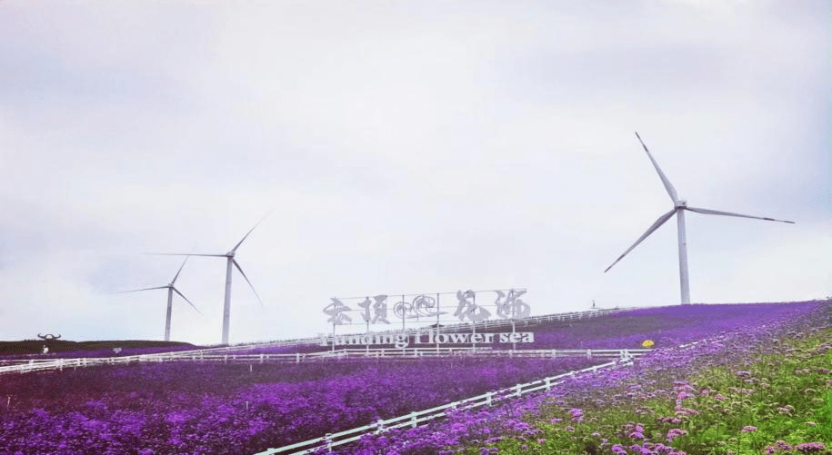 39142403bf994b8ba9d3dc511e373fd3