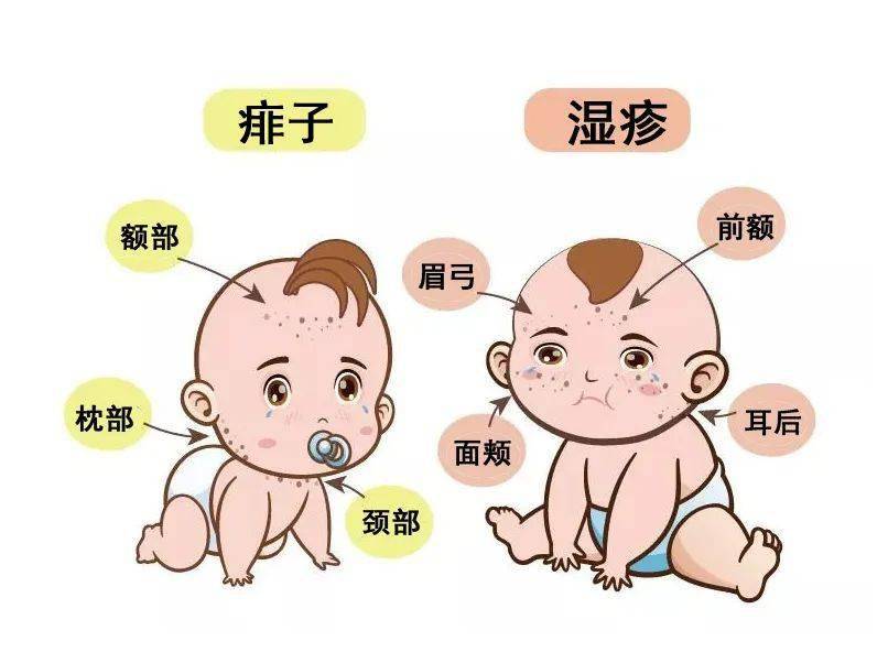 d91da34460fd4d198a792b75cfc44024