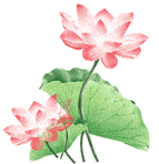 a06a48f050554fb6922f2cd551cd3008