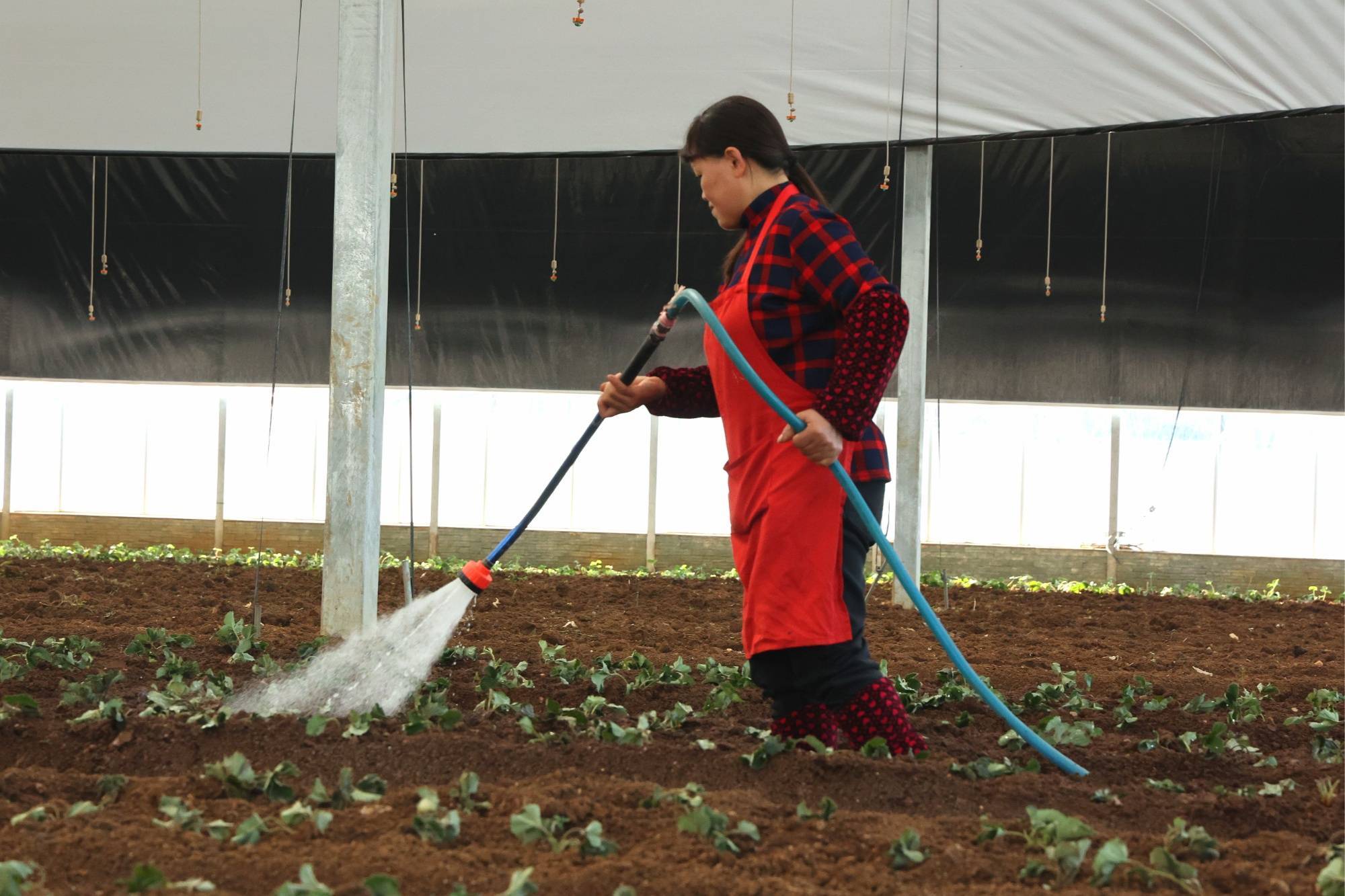 abc9d6bfcf1647b493f9c37172b4740b