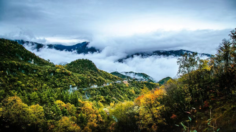 20240614161851663014894