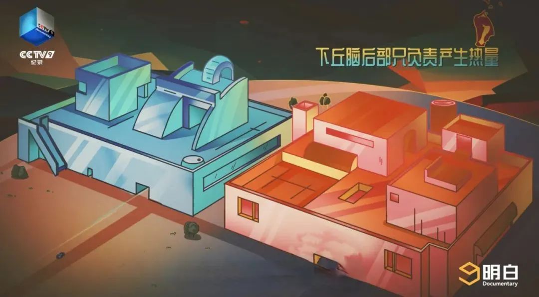 640-116 640-116