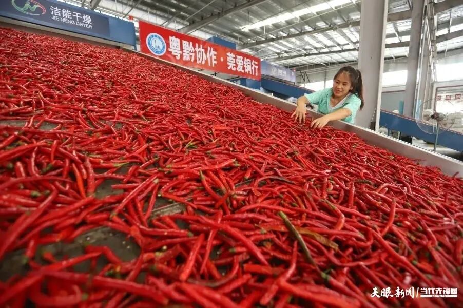 640-1.webp 640-1.webp