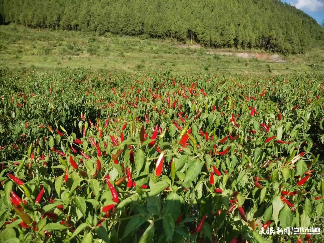 640-2.webp 640-2.webp