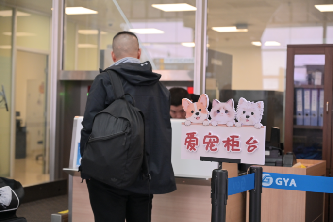 60e4ac48c5ed4784b7c0c5c7d4e2bb6d